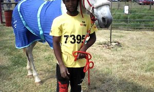 Uitmergelende Perde-uithouwedren